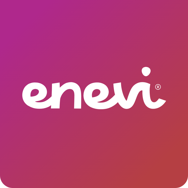 Rapport Annuel d'Enevi